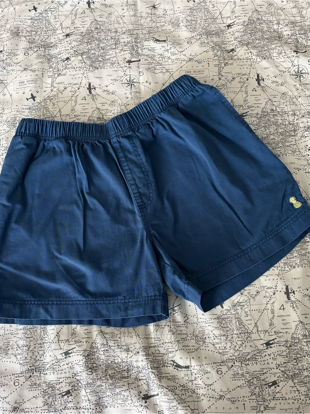 chubbies Navy Women's High-Waist Shorts with Pineapple Accent